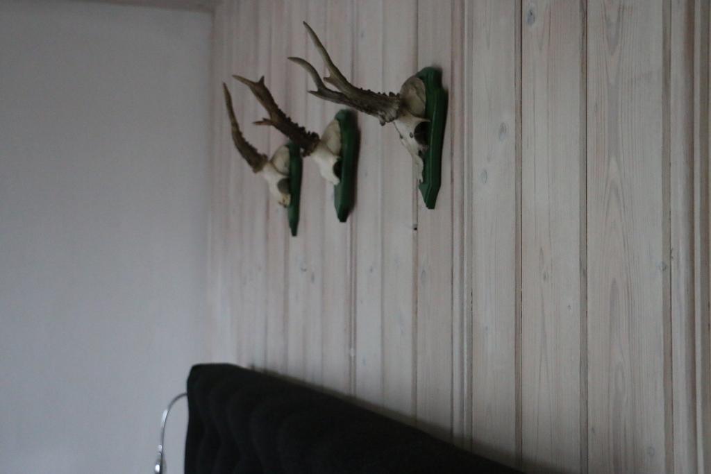 Landhotel Villa Foresta ブラウンラーゲ エクステリア 写真