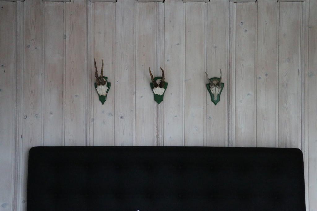 Landhotel Villa Foresta ブラウンラーゲ エクステリア 写真